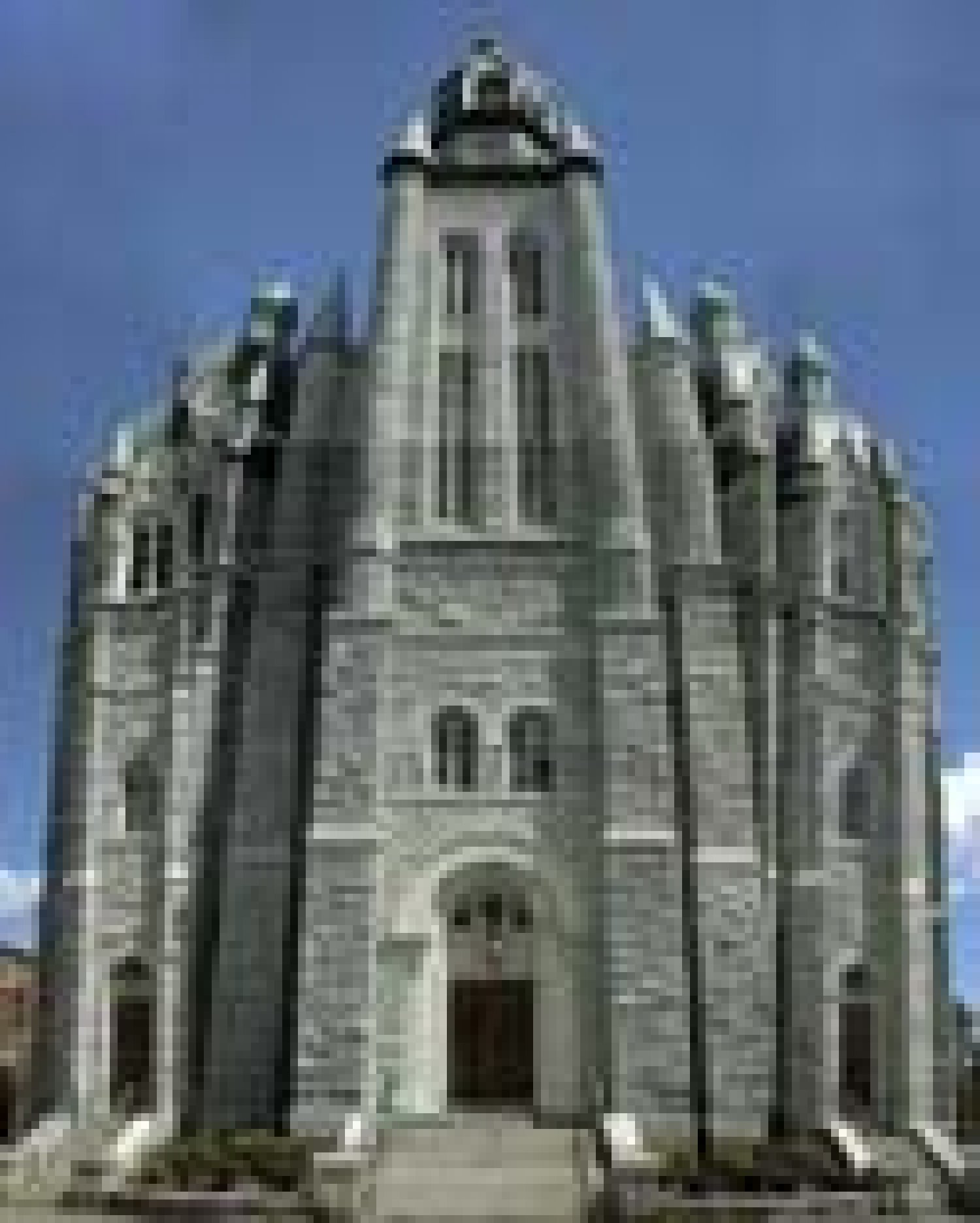 My Image 3
