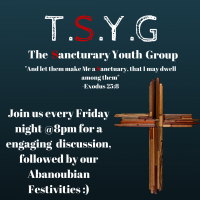 The Sanctuary Youth Group