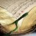 Arabic Bible Study (St Mark, ACT)